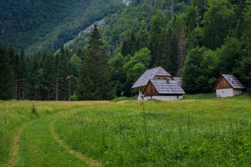 Horská louka s dřevěnými chalupami na okraji jehličnatého lesa