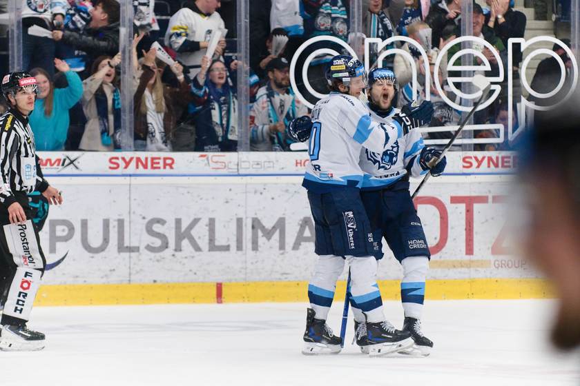 Oslava vstřeleného gólu před tribunou plnou fanoušků