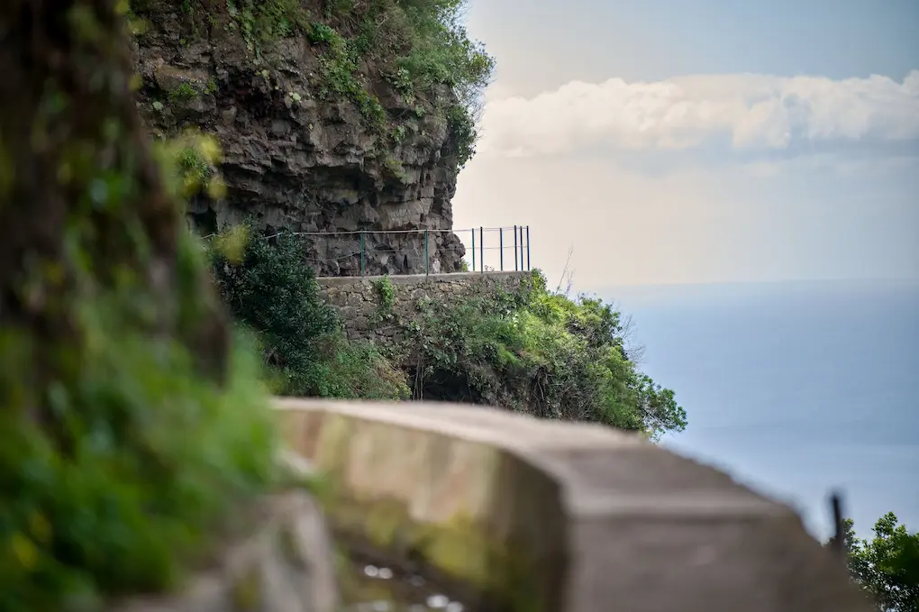 Madeirská příroda