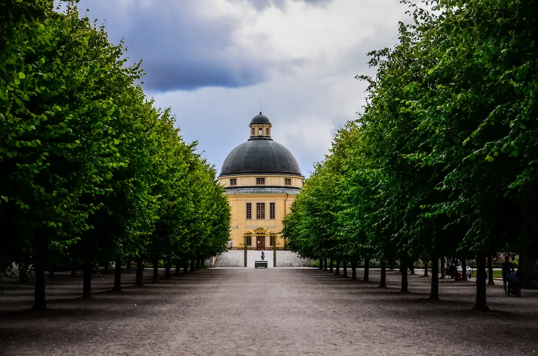 Symetrický pohled v parku